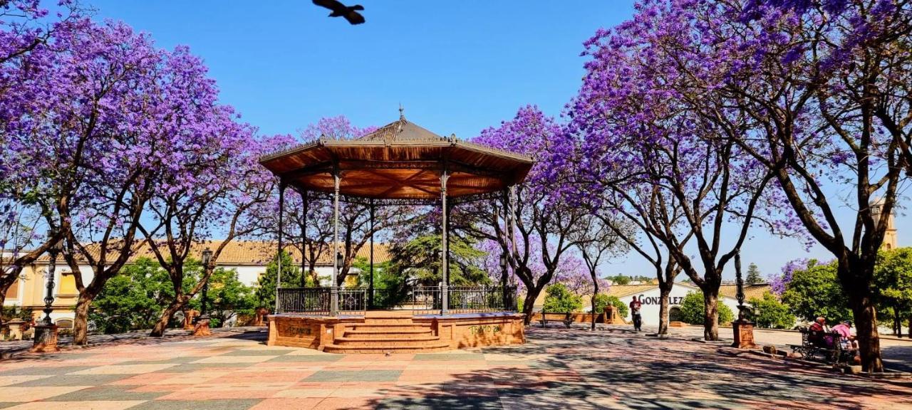 Appartamento Alazán Jerez II Jerez de la Frontera Esterno foto
